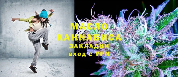 индика Приозерск