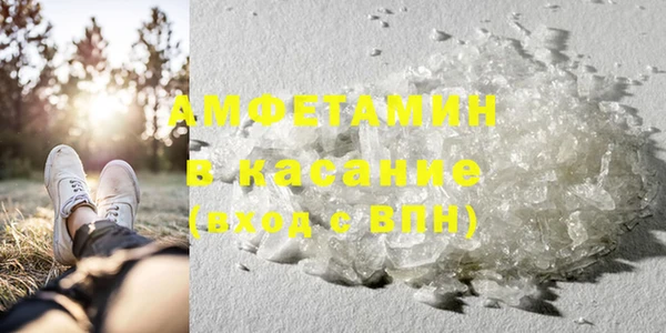 трава Аркадак