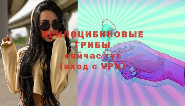 стаф Армянск