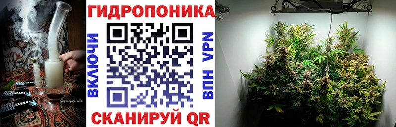 Бошки Шишки THC 21%  Сосногорск 